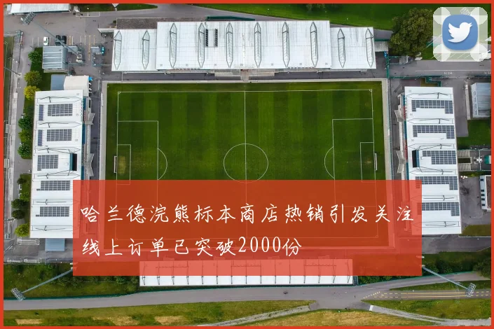 哈兰德浣熊标本商店热销引发关注线上订单已突破2000份